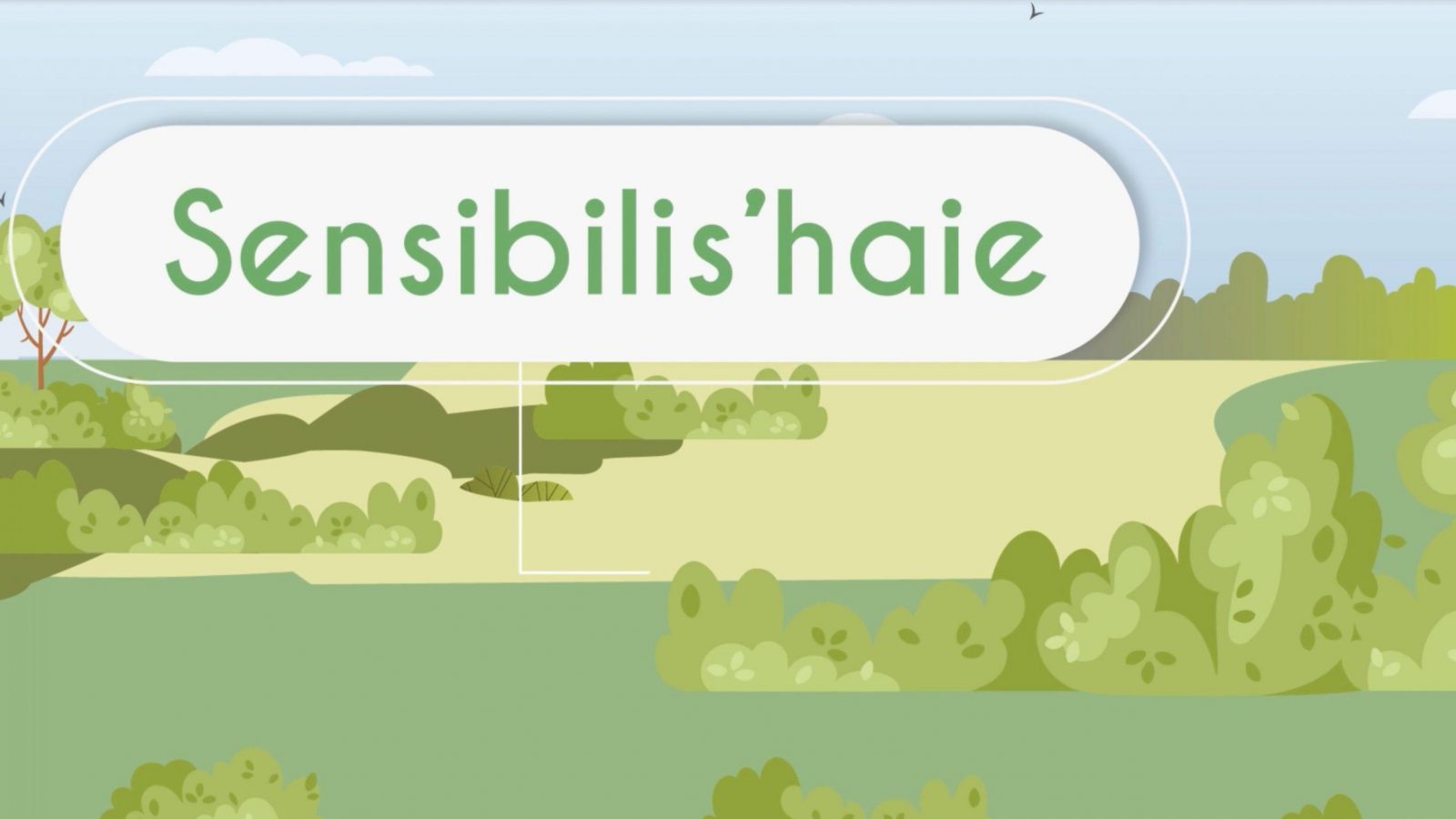 Sensibilis'Haie, qu'est ce que c'est ?