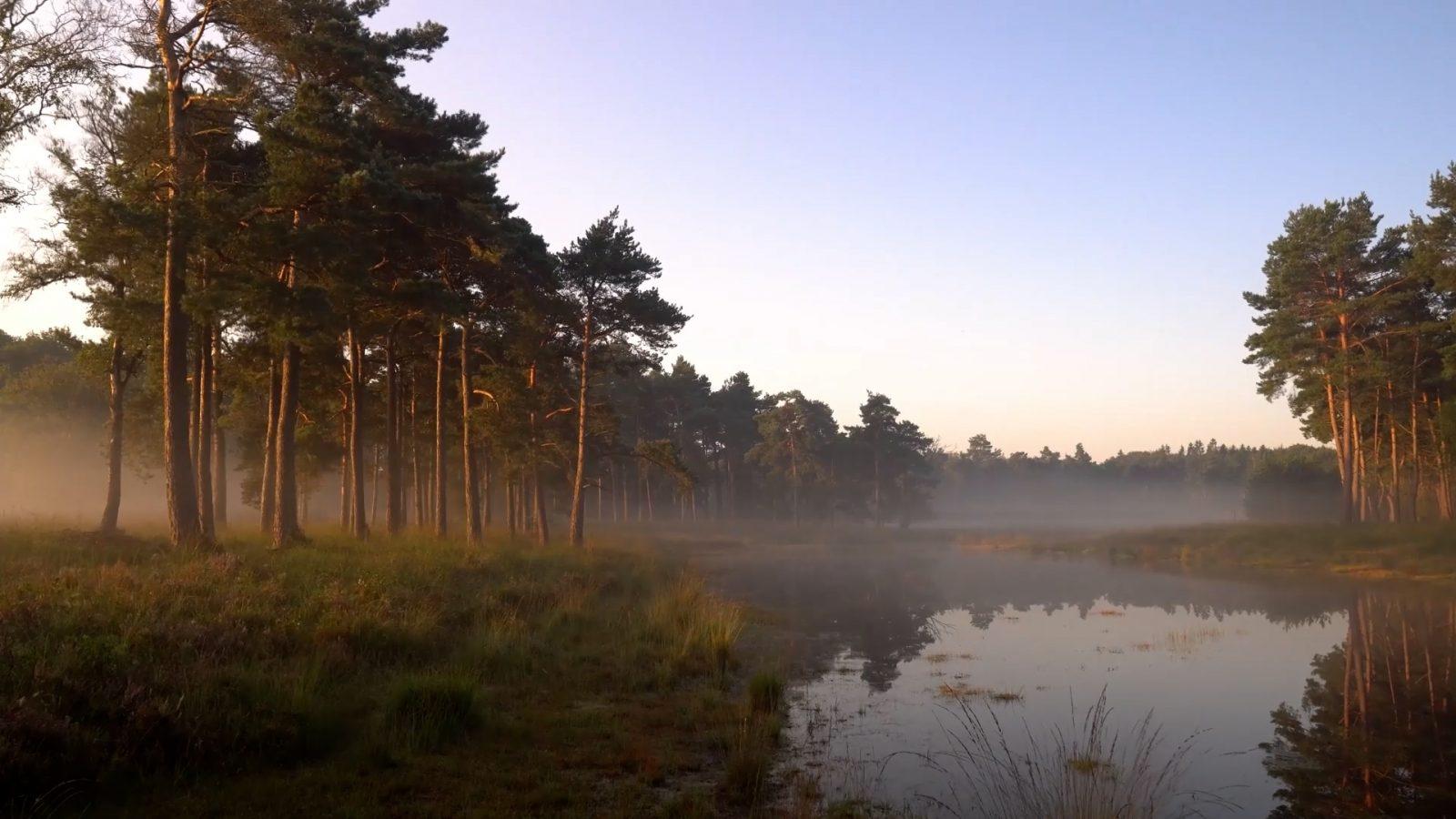 La Fondation pour la protection de la Nature fête ses 40 ans