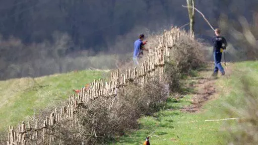 Perte de biodiversité : Des chasseurs engagés