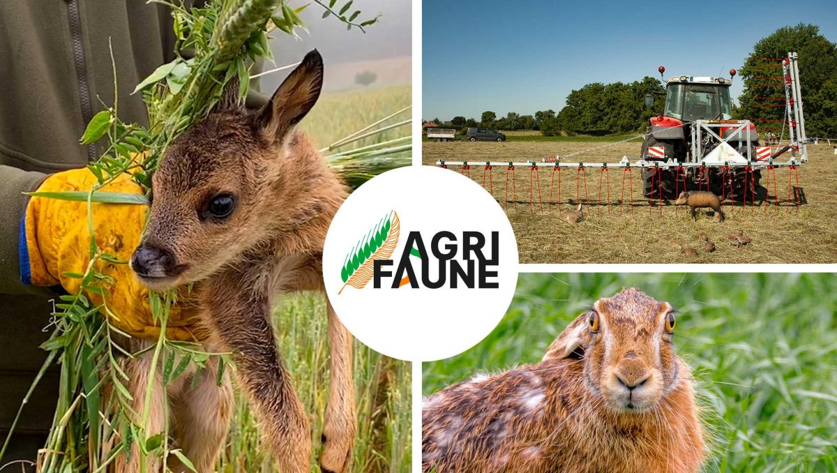 Agrifaune : le projet pour une agriculture qui prend en compte la biodiversité