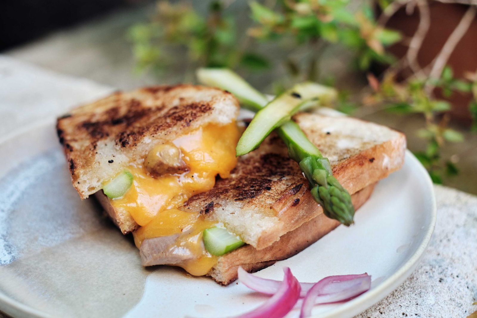 Grilled cheese aux asperges dans une assiette