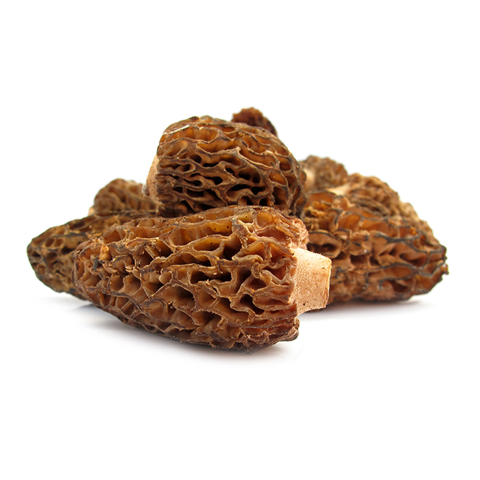 Morilles