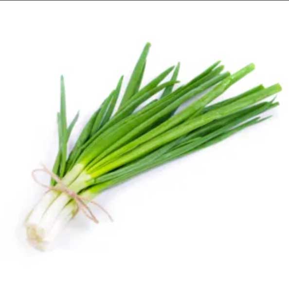 Oignon cébette