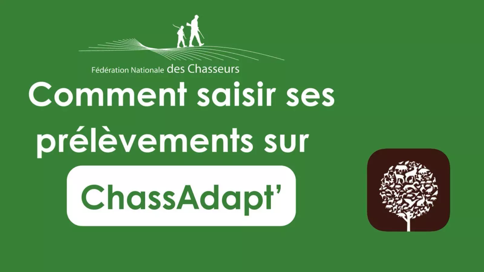 Comment déclarer vos prélèvements sur ChassAdapt ?