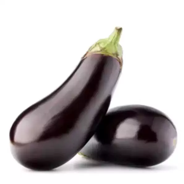 Aubergine