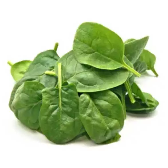 jeunes pouces d'épinard