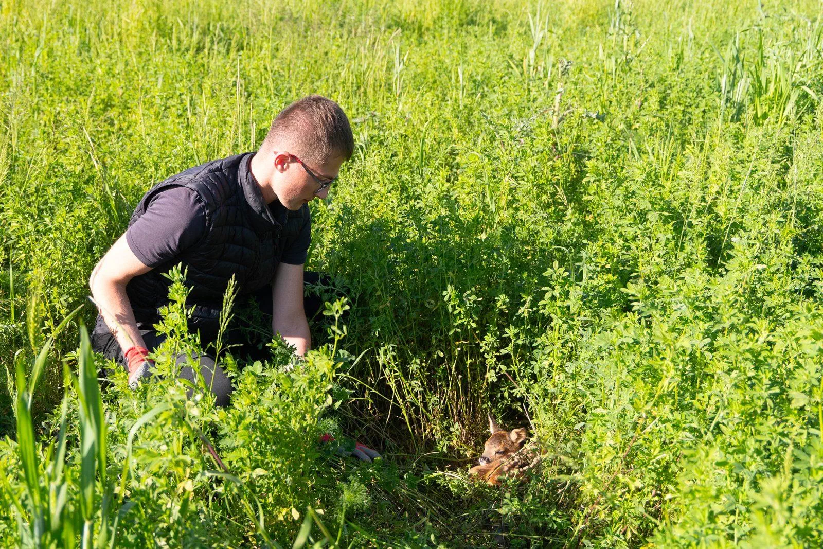 Les chasseurs contribuent à la résilience de la biodiversité