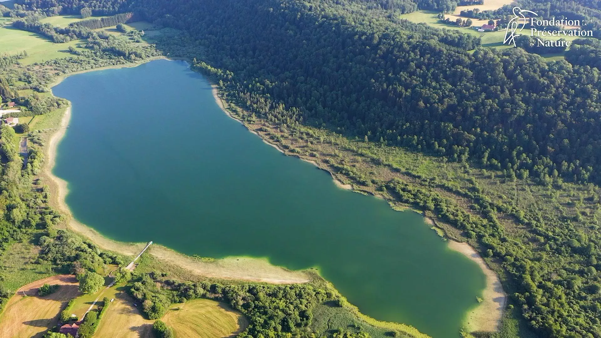 Fondation pour la preservation de la nature