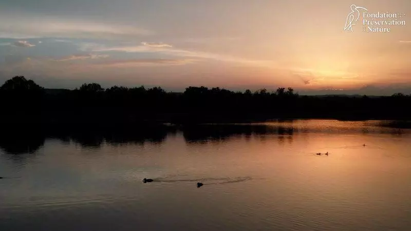 La réserve de Biterne