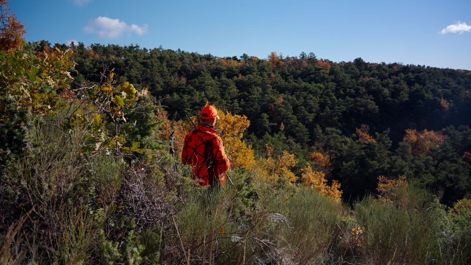En immersion avec les chasseurs Haut-Alpins