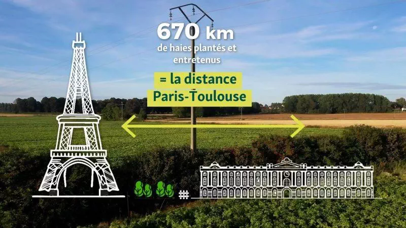 Préserver et restaurer les habitats naturels