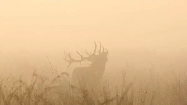 L'automne pour préparer demain