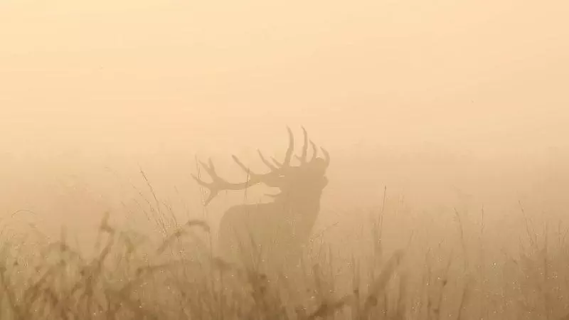 L'automne pour préparer demain