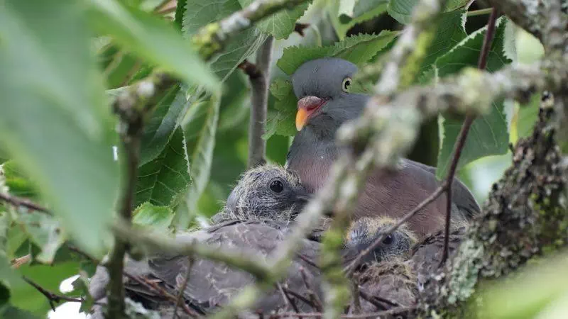 L'été : sous le soleil, la lutte continue