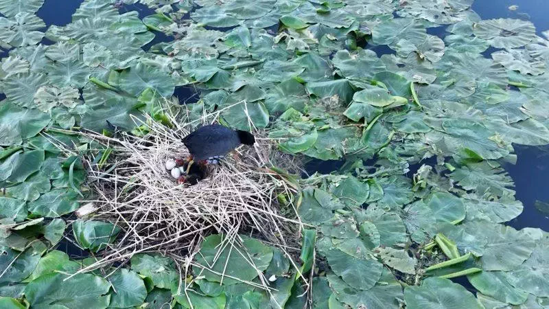 Printemps : quand tout recommence