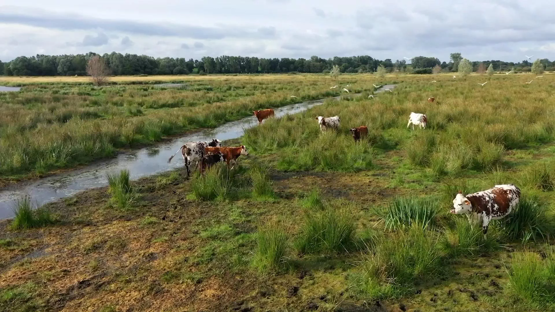 Une gestion engagée et durable de sites naturels