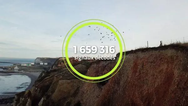 Connaissances sur les oiseaux migrateurs