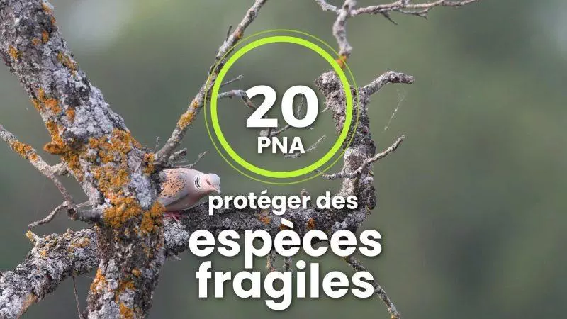 Participation aux PNA