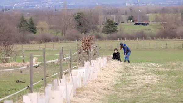 Restauration des corridors écologiques