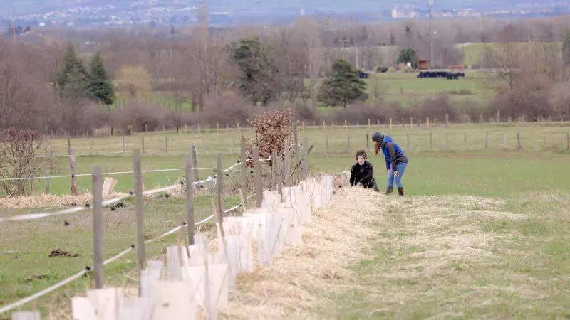 Restauration des corridors écologiques