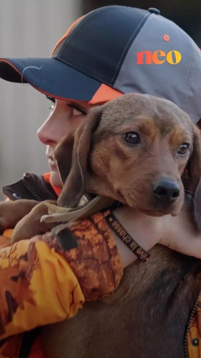 Chasseurs exemplaires (2)