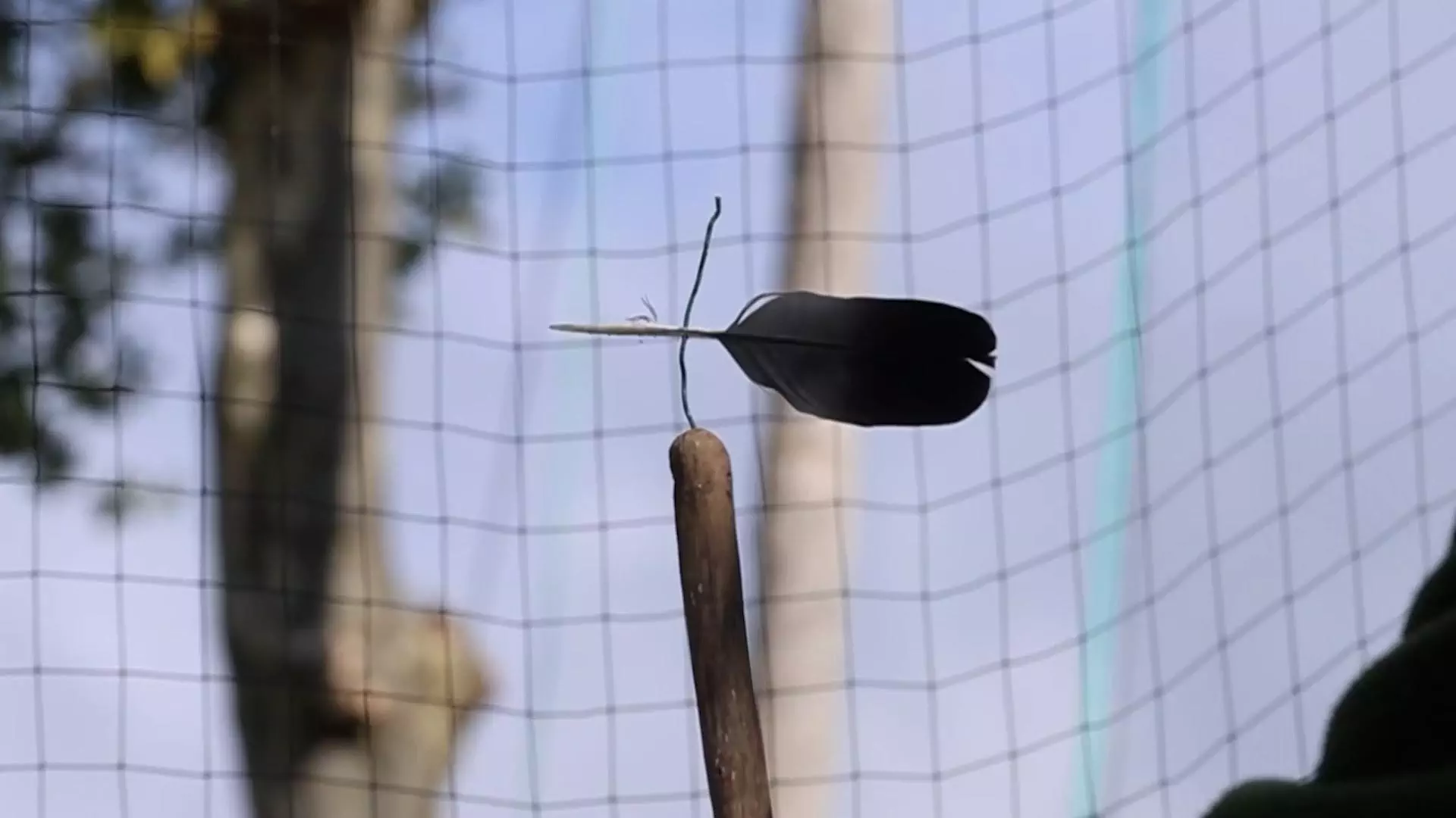 Pantes et pantières : un instant précieux hors du temps