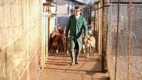 Le métier de piqueux