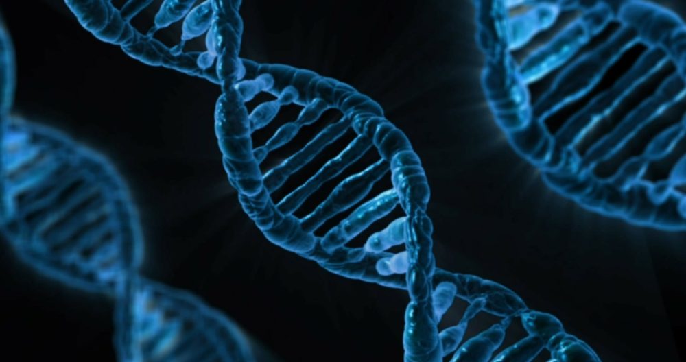 La science au service de la biodiversité