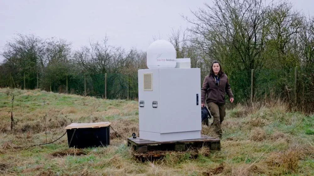 Observer l’invisible : les migrations vues par radar