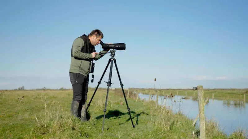Wetlands International