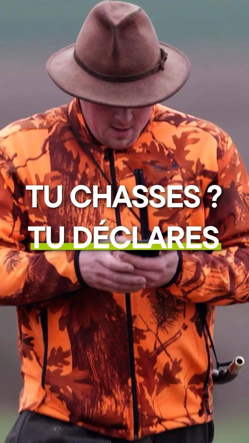 Découvrez Chassadapt