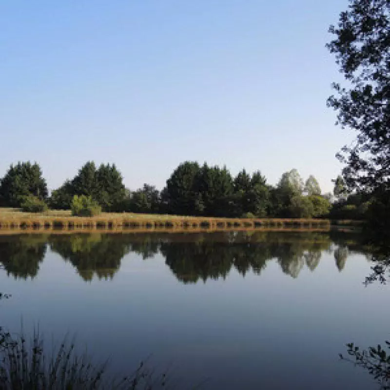 Fondation pour la Préservation de la Nature
