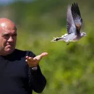 Baguage des oiseaux