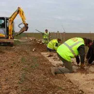 Plantation des haies